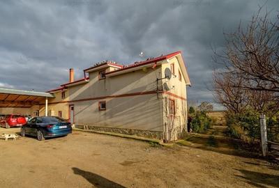 Vanzare ferma agricola Negru Voda - Constanta cu 240 hectare teren si utilaje - 9