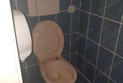 Ofer la inchiriere SAD zona centrala Balcescu-Rusu Sireanu, P+1+M, 200 mp utili, 10 camere + 4 bai - 14