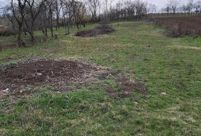 Teren de 1740 mp, în Feldioara - 4