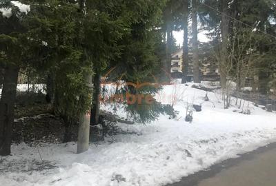 Teren de vanzare Vladet - Trei Brazi, in Predeal 1000m2 intravilan - 2