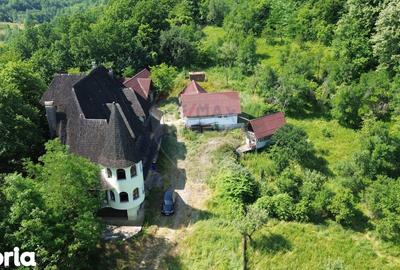 Casă cu Teren 24700 Mp în Copalnic - 12