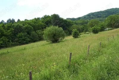 Teren de 2800 mp, în Central - 4