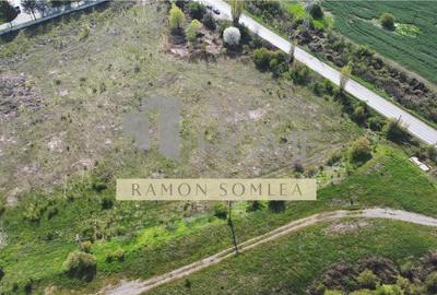 Teren Construcții intravilan de 16142 mp, în Est - 1