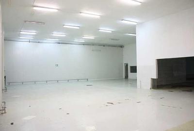 Spatii de productie; spatii de depozitare/birouri 1700 mp - 2
