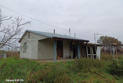 Teren agricol intravilan de 11000 mp, în Ceatalchioi - 5