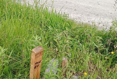 Spațiu comercial, în Cârțișoara - 2