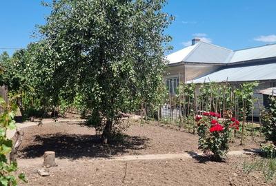 Casă cu 4 camere în Chirnogi - 6