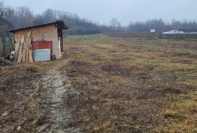 Casa  de vanzare Dobroteaaa - 7