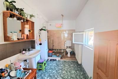 Casa individuala spatioasa, renovata total pe parter I Recas - 18