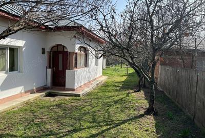 Vand Casa Crivina Jud Giurgiu - 5