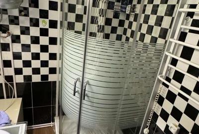 Inchiriere apartament 2 camere Theodor Pallady - 2