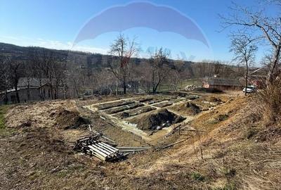 Teren Construcții intravilan de 1170 mp, în Cărbunari - 8