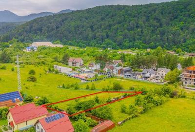 COMISION 0% | Teren intravilan Sacele, Strada Carpen... - 2