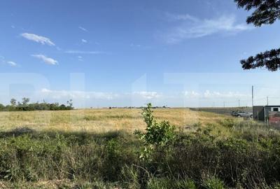 Teren intravilan 42.000 mp, deschidere 133 m la DE574, zona - 4