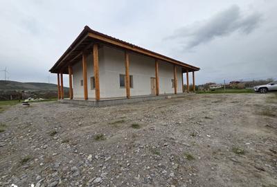 Casă cu Teren 1400 Mp în Valea Nucarilor - 7