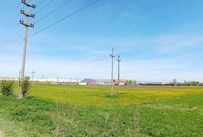 Teren Construcții intravilan de 8000 mp, în Bartolomeu - 1