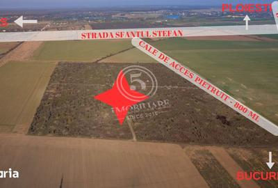 Teren de 1118 mp, în Snagov - 16