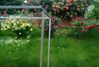 Casa cu 4 camere si garaj,com Rediu,jud.Iasi,vis a vis de gradinita KIKI. - 6