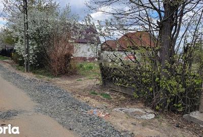 Teren de 4600 mp, în Recea - 5