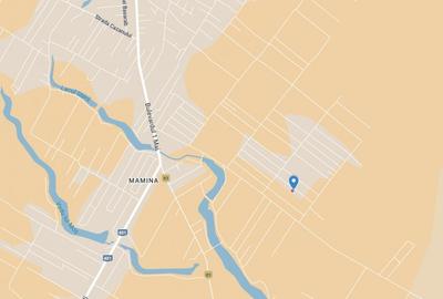 Teren de 330 mp in Comuna Berceni - Ideal pentru Casa sau Investitie!