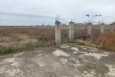 Aer curat Aproape de Targoviste - 3