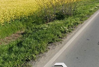 Teren de 1500 mp, în Agigea - 4