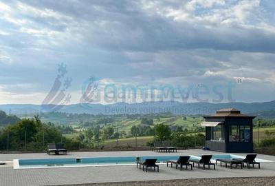 Gaminvest,Afacere de 4 stele de vanzare in Vadul Crisului, Bihor, Romania,V4254 - 12