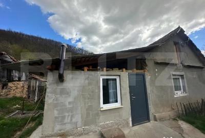 Casă cu 4 camere cu Teren 12186 Mp în Central - 9