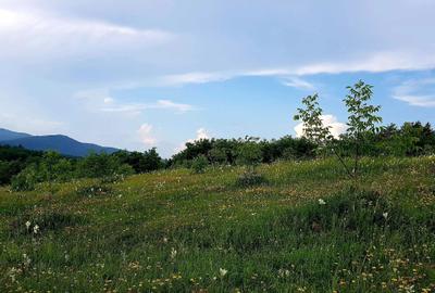 Teren de 13000 mp, în Lunca Asău - 4