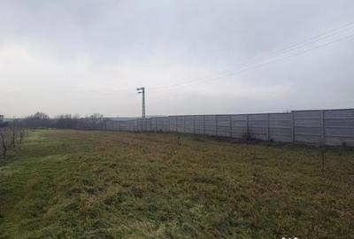 Teren de 2500 mp, în Șimnicu de Sus - 3