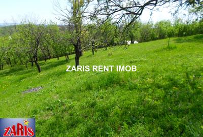 Teren Construcții intravilan de 3658 mp, în Predeal-Sărari - 9
