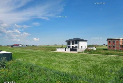 Teren de 317 mp, în Berceni