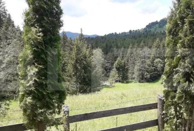 Casă cu 3 camere cu Teren 400 Mp în Central - 9