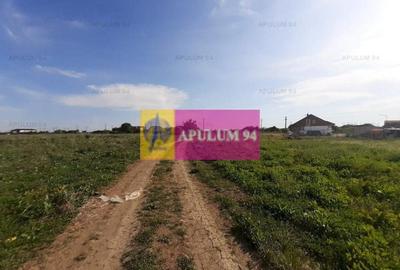 Teren construcție casă - 1 Decembrie - Zona Metropolitană București Teren construcție casă - 1 Decembrie - Zona Metropolitană București - 27