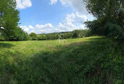 Teren, Albe?ti, str Podului - 6