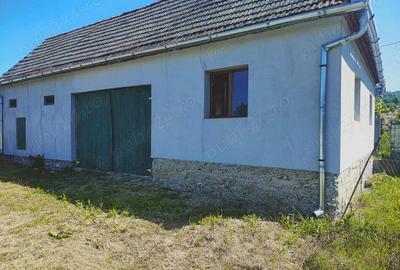 Casă cu 6 camere cu Teren 2135 Mp în Ilteu - 3