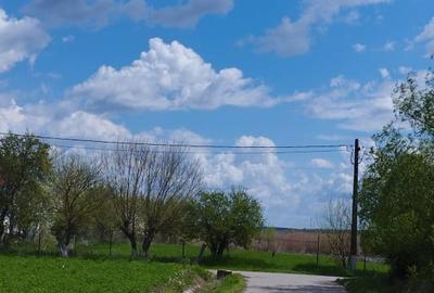 SUPER OCAZIE SE VINDE TEREN LA CEL MAI MIC PRET LA DELTA NEAJLOVULUI BUDENI GR - 2