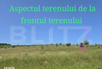 Teren de 1100 mp, în Ciurila - 2