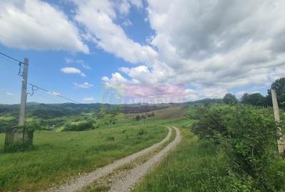 Teren intravilan de vanzare in Breaza (dezvoltare imobili... - 6