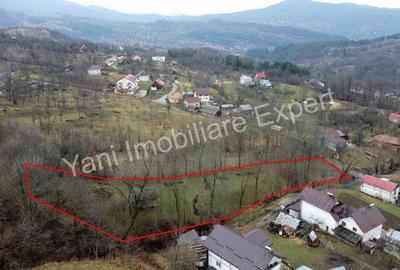 Teren de vanzare in comuna Arefu, jude? Arge?. - 1