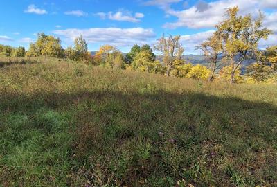 Spațiu comercial, în Sânbotin - 1