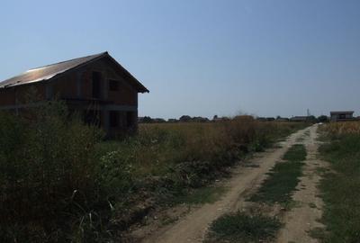Domnesti-Teghes(Pinului). - 3
