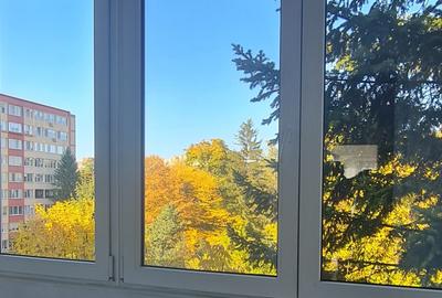 SC VIMAK IMOBILIARE inchiriaza apartament 2 camere ,bdul Victoriei. - 7