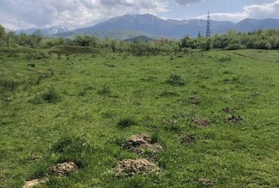 Spațiu comercial, în Racovița - 1