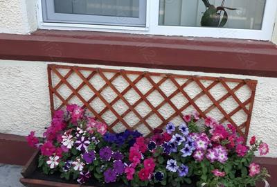 Casă cu 4 camere cu Teren 250 Mp în Hașdeu - 1