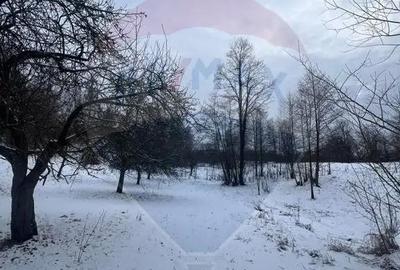 Teren de 10054 mp, în Mănăstirea - 2