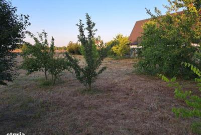 Spațiu comercial, în Central - 7