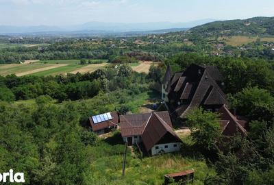 Casă cu Teren 24700 Mp în Copalnic - 9