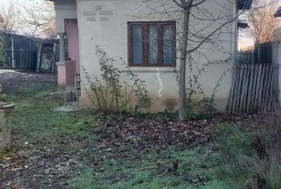 Casă în Vulpeni - 2