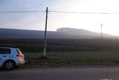 Teren de 29300 mp, în Livezeni - 5